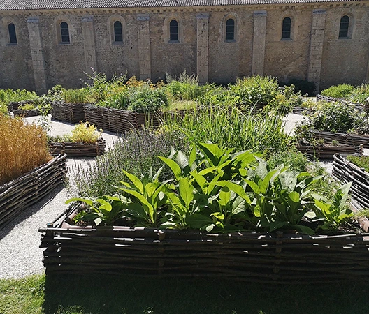 Raised garden beds